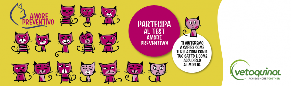 amore preventivo test