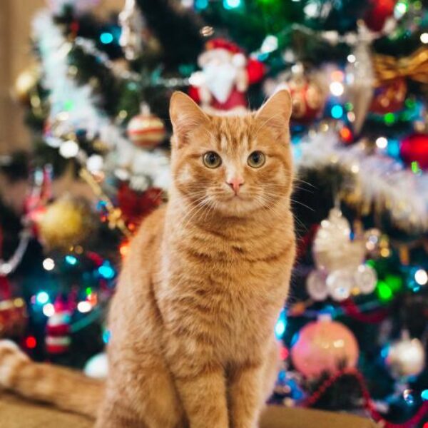 AdobeStock_476477591